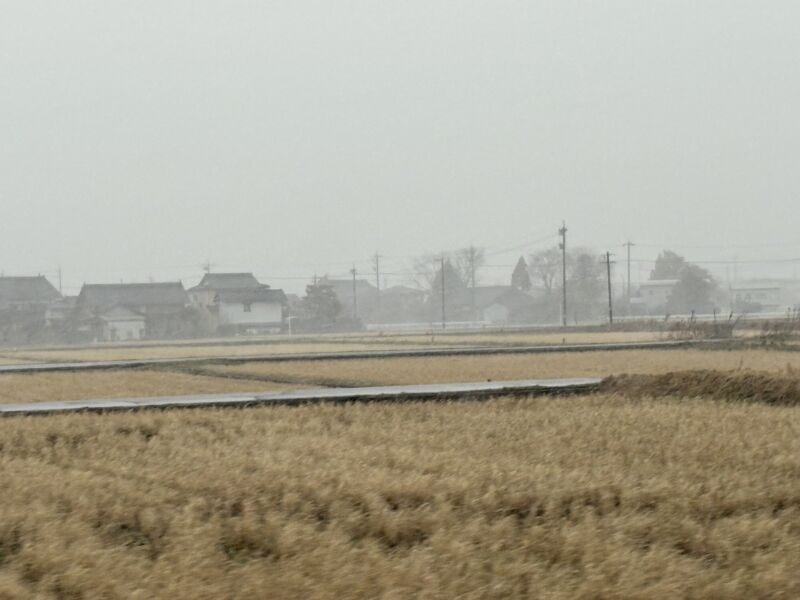 Image for the Tweet beginning: 富山の皆さん！

横殴りの雪が降ってきました！
大雪に備えましょう！！

#国民民主党
#富山県
#庭田ゆきえ 